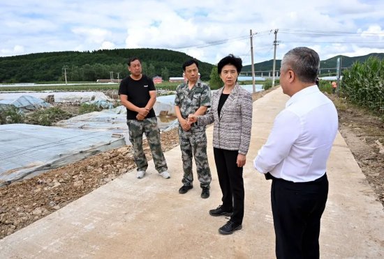 省委副书记,省长梁惠玲到尚志市一面坡镇镇东村察看蔬菜大棚受灾情况
