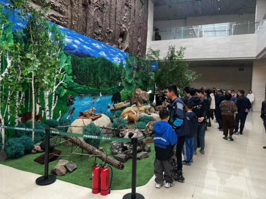 伊春森林博物馆观众参观场景