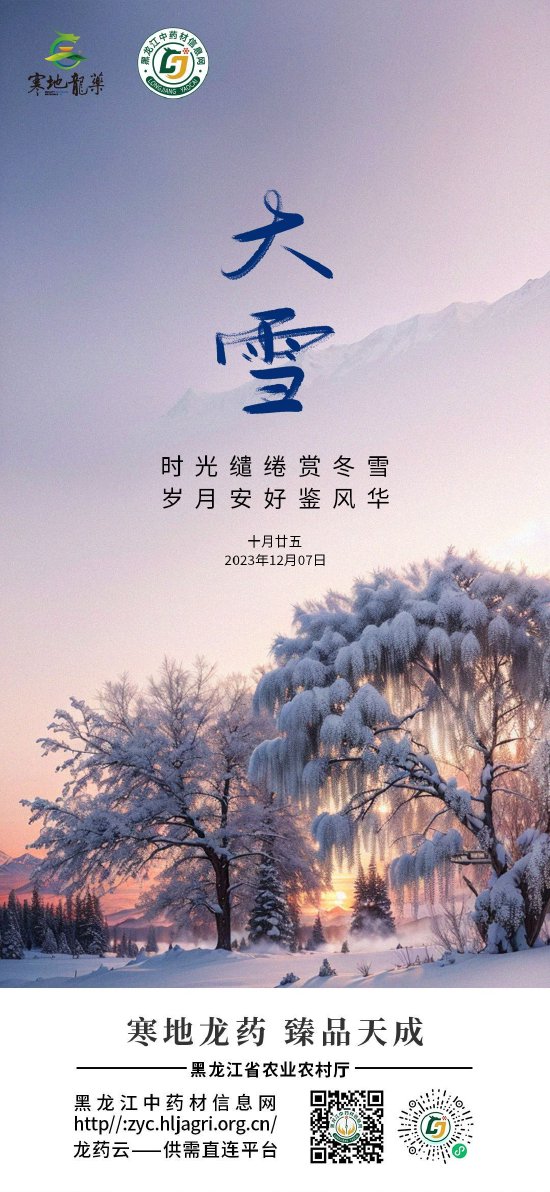 寒地龙药大雪节气海报