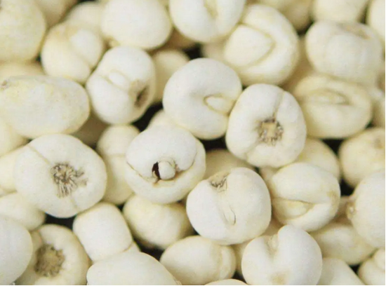 铁力平贝节即将来袭你对铁力平贝了解多少