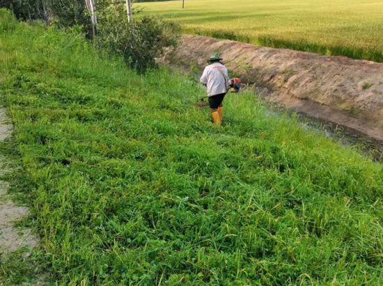 北大荒股份勤得利分公司加大农田环境治理力度