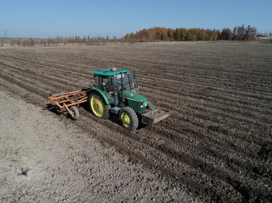 北大荒农业股份庆丰分公司高标准开展旱田秋起垄作业