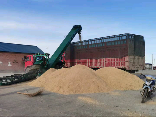 图为粮食销售现场 赵林 李品光 摄