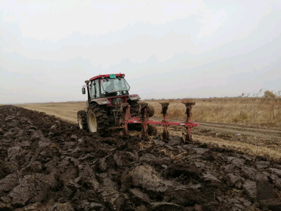 图为庆丰分公司第九管理区翻地作业现场.李晶/摄