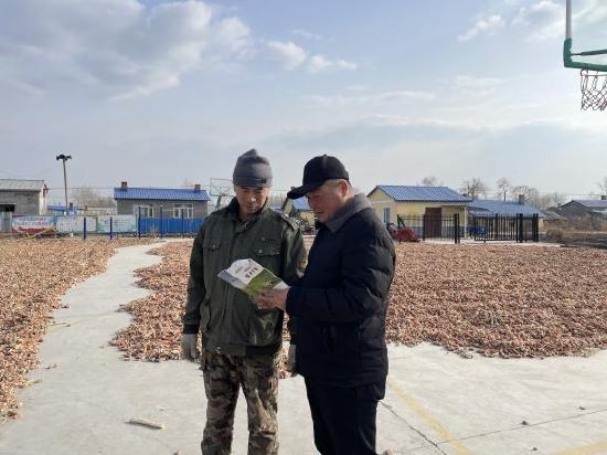 桦南县土龙山镇:精心谋划强部署 真抓实干促落实