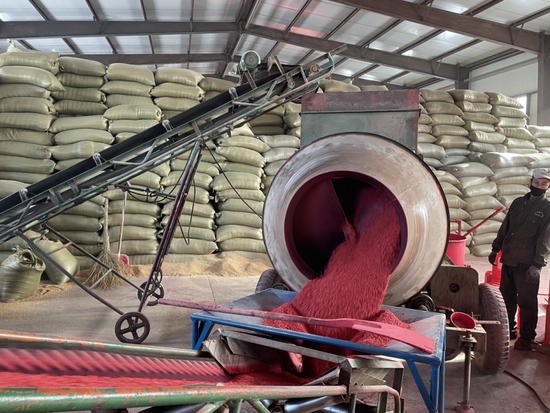 图为北大荒股份勤得利分公司进行水稻种子包衣工作现场.