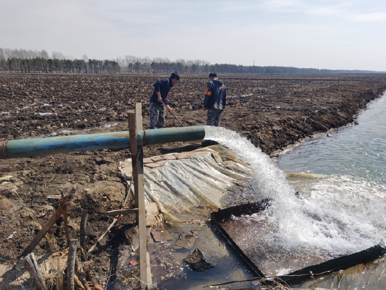北大荒农业股份勤得利分公司生产防疫两不误抽水泡田正