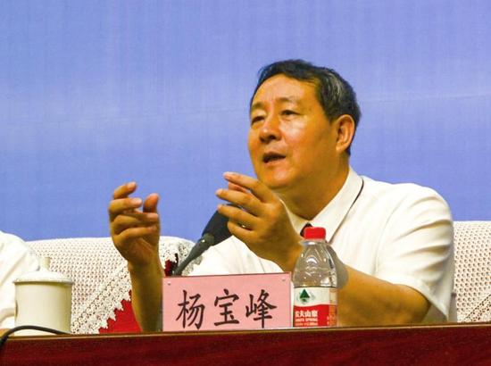 中国工程院院士,哈医大校长杨宝峰教授致辞