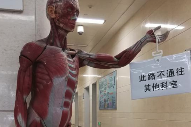 医院拿扒皮人体当路牌 医生:问路的人减少9成