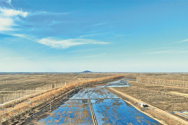 农场巧借“桃花水”泡田整地