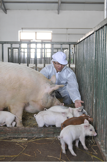 何所有9月5日何所有东农三花猪首家门店盛装启幕
