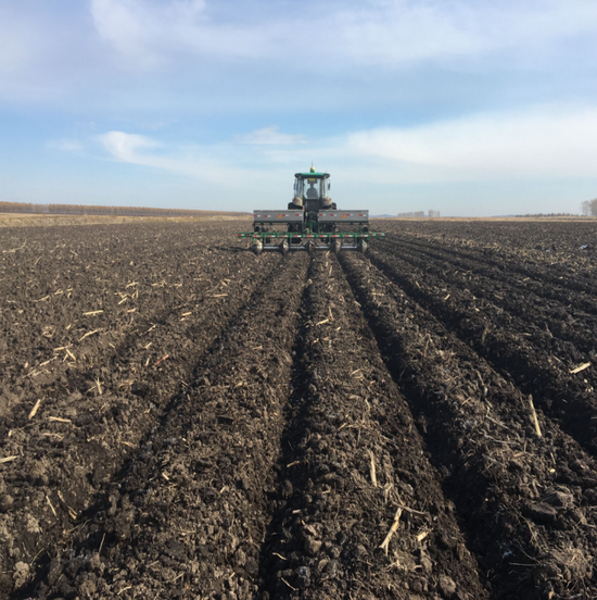 北大荒农业股份庆丰分公司高标准秋起垄作业为明年再生产争主动