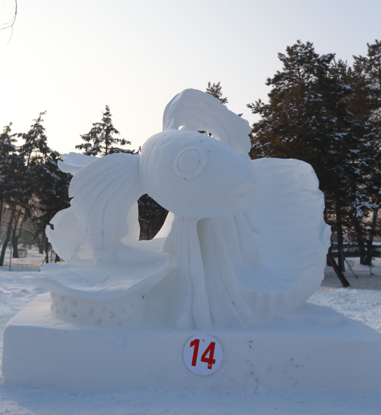 第七届"冬之韵"黑龙江省大学生雪雕比赛落幕