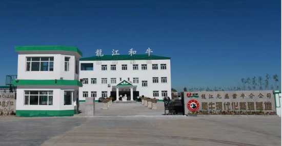 齐齐哈尔龙江县扶强做大肉牛产业助力农民增收致富