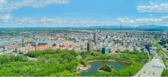 铁力平贝节即将来袭你对铁力平贝了解多少