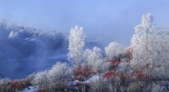 大平台雾凇风景区图片