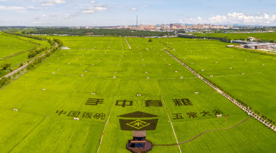 五常市打造世界稻米合作发展中心引领全国稻米走向世界