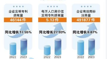 2023年黑龙江省知识产权保护状况公示