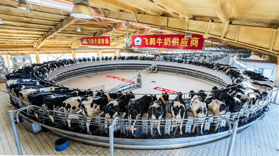飞鹤拟入主原生态牧业 把控高品质奶源 稳固产业供应链
