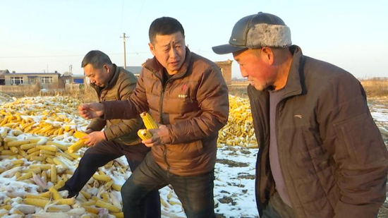 富裕县：积极指导农户科学储粮 确保粮食安全