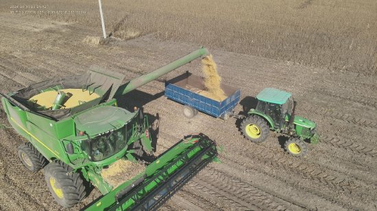 科技增糧顯成效 豐收底色更亮眼