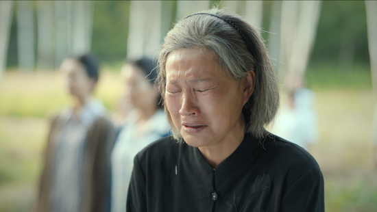 郝岩 饰 徐丽萍