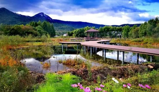 国家卫生城市,城市综合承载能力和人居环境指标居全省前列,通河城镇