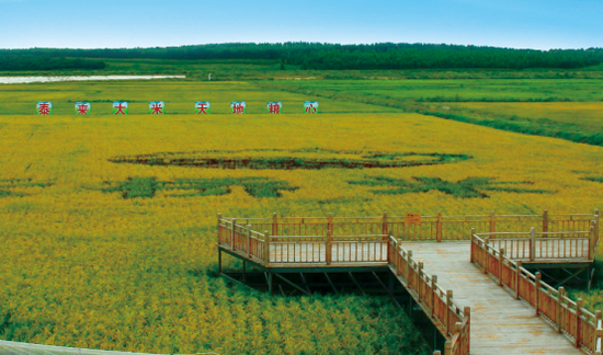 天地粮心品质坚守泰来县将携名企亮相第四届大米节