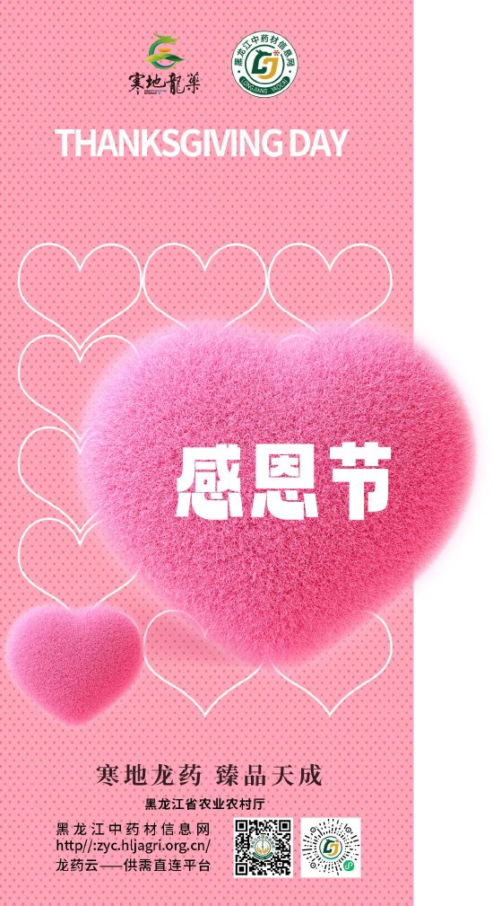 寒地龙药感恩节海报