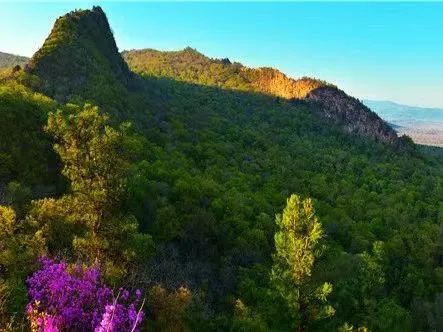 鸡冠山国家森林公园