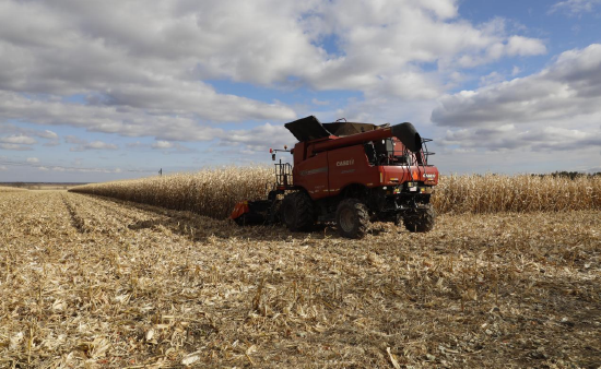 黑龍江省秸稈綜合利用率連續4年穩定在95%以上