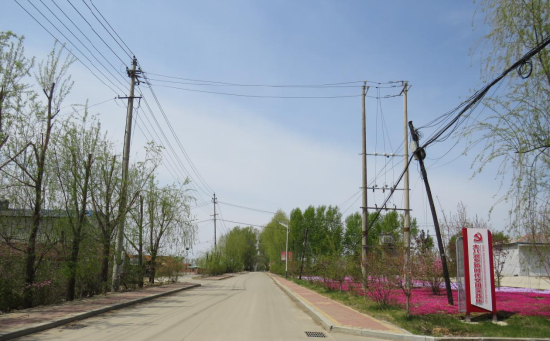 桦南县大八浪乡:深入践行"三步工作法"打造美丽乡村新样板_新浪黑龙江