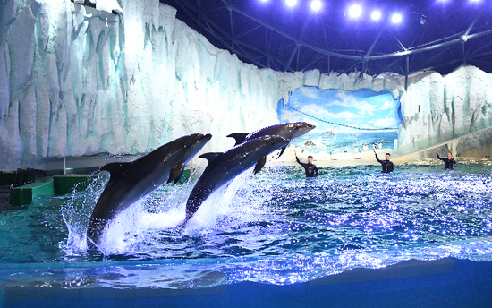 同时,各场馆限制游客流量,其中,哈尔滨极地公园·海洋馆日接待人数