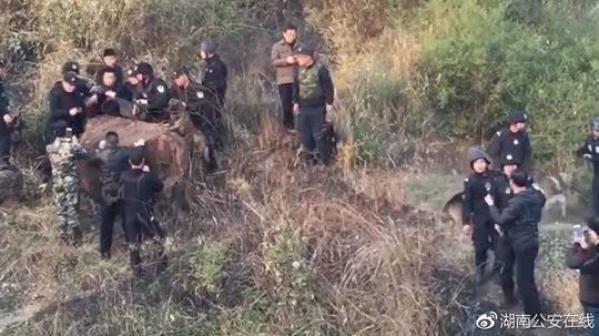 湖南新化涉枪案嫌犯陈建湘落网细节曝光
