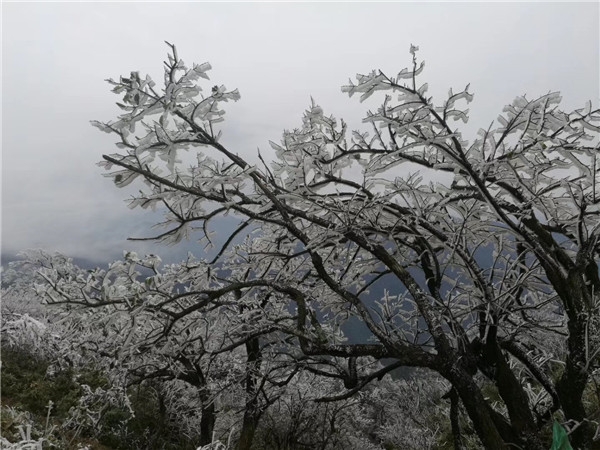 湖南新化大熊山雾凇美如画