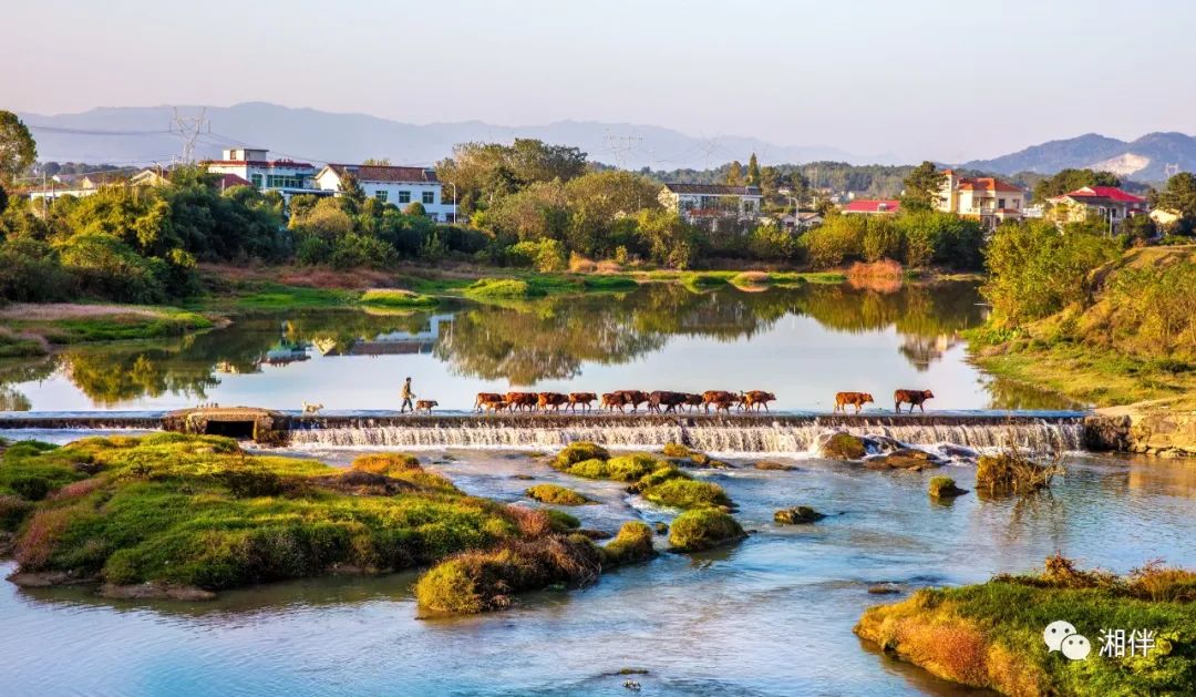 长沙县北山镇新云村白沙河.彭国明 摄