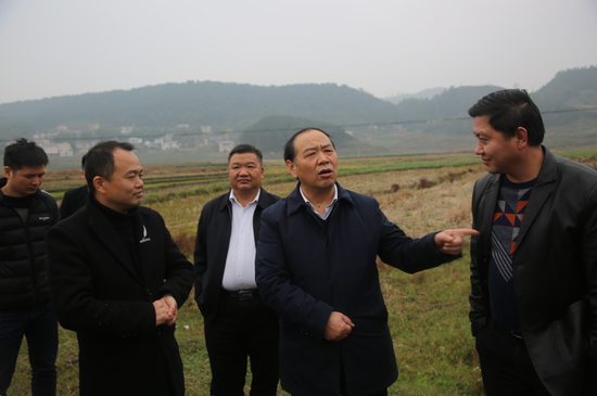 谭精益调研指导烤烟生产和高标准农田建设工作