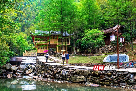 曾文贵 摄渠江源景区位于新化县奉家镇渠江源村内,由茶溪谷栈道游览区