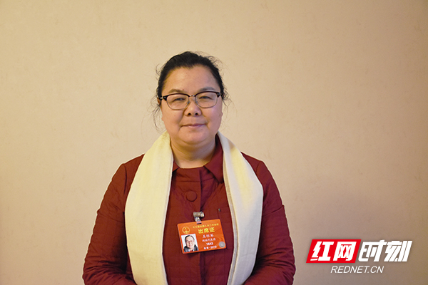 人大代表王怀军幼儿教育应寓教于乐学中玩玩中学