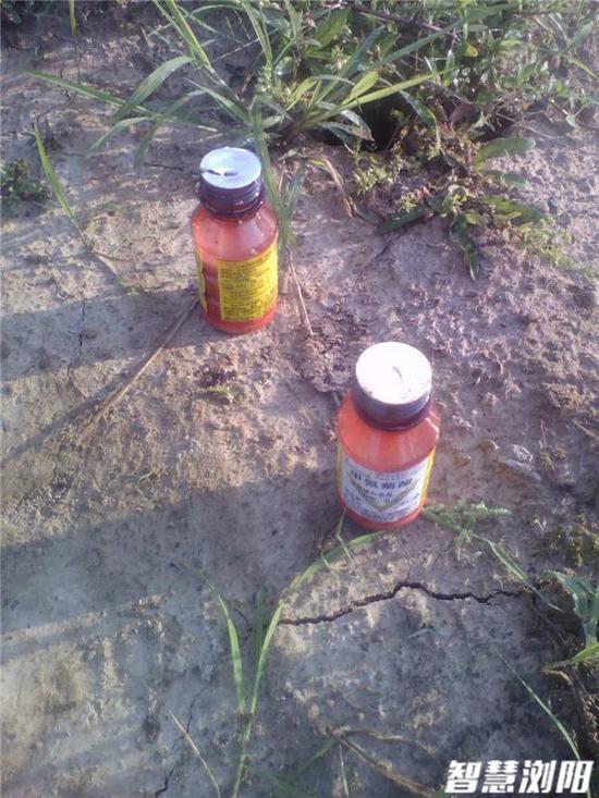 两瓶农药毒翻湖南村民一塘龙虾 到手的订单飞了