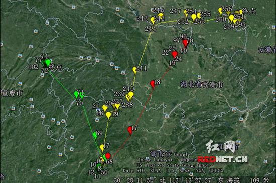 邵阳隆回在3只候鸟身上安装卫星跟踪器 记录迁徙全程_新浪湖南_新浪网