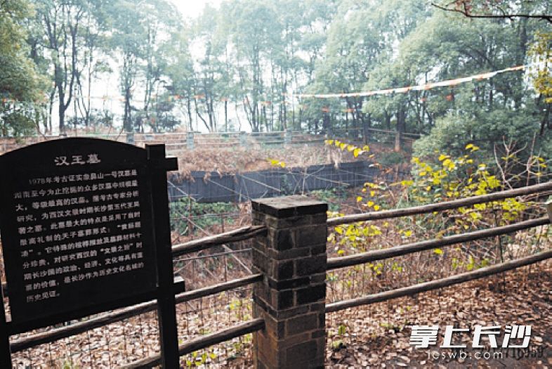 楚墓,"文物部门的人会定期来查看,原来我们天天就在古人的墓地上生活