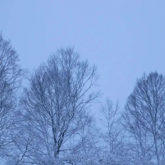 株洲下雪图片