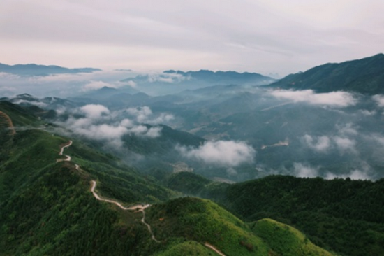 沅陵縣九龍山高山花海風景旅遊景區舉行奠基儀式_新浪湖南_新浪網