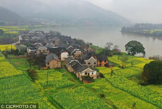 这是3月17日拍摄的蒙蒙细雨中的湖南省衡东县杨林镇春色迷人.