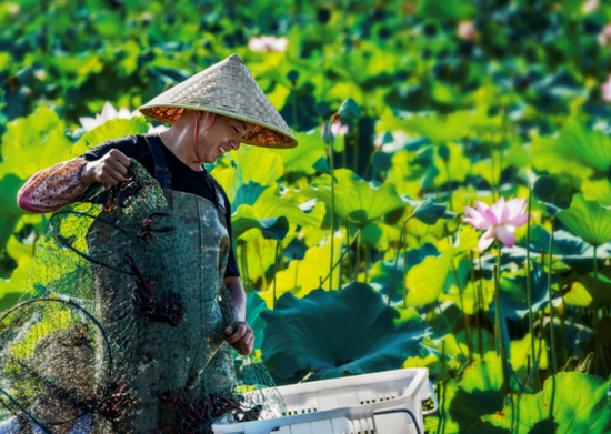 望城这张答卷,亮眼!_新浪新闻