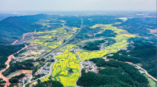 岳阳县麻塘办事处逐梦生态绿富美