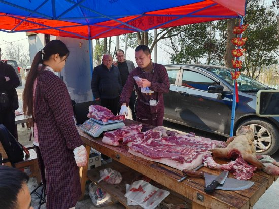 走进宁乡流沙河镇 探索"花猪小镇"产业发展之路
