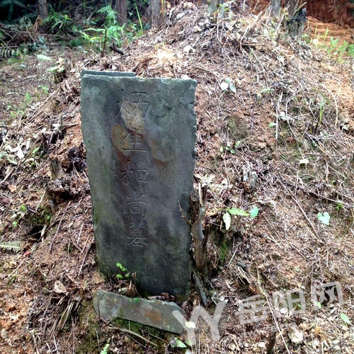 岳阳首次发现清代僧人墓群 古墓多达20余座