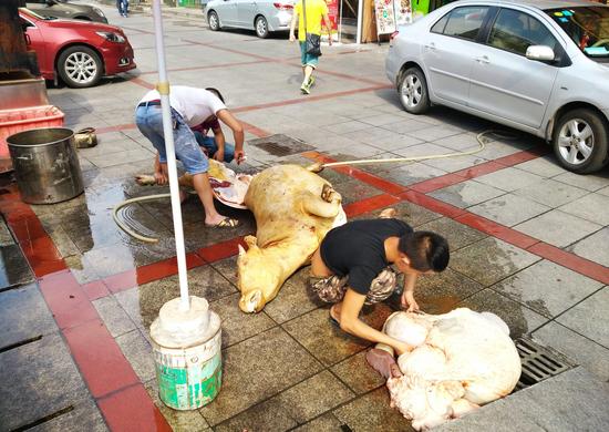 田园本味菜馆前,几名男子正在当街宰牛(记者 谢慧 摄)